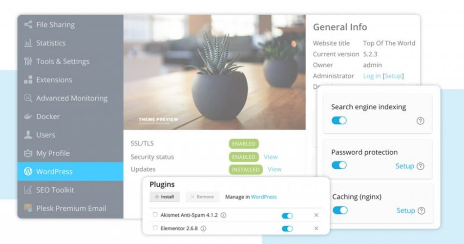 plesk-panel-kullanimi