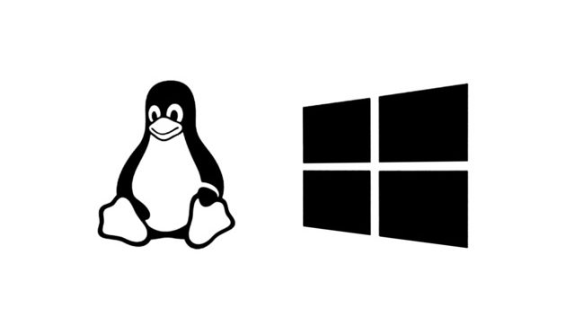 windows-hosting-linux-hosting